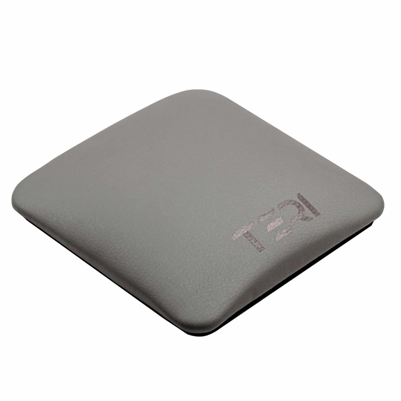 grey_pillow_1
